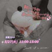 ヒメ日記 2025/05/26 20:03 投稿 せつな 熟女の風俗最終章 新宿店