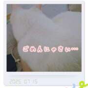 ヒメ日記 2025/07/15 00:56 投稿 せつな 熟女の風俗最終章 池袋店