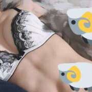 ヒメ日記 2025/12/11 07:21 投稿 さつき 激安コスパ∞