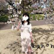 ヒメ日記 2024/04/22 11:25 投稿 白花かのん 響-HIBIKI-