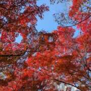 まゆ おすそ分け🍁♡ 夕月