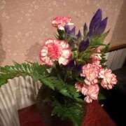 ヒメ日記 2025/10/02 23:59 投稿 まゆ 夕月