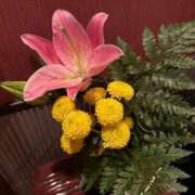 ヒメ日記 2025/10/04 18:59 投稿 まゆ 夕月