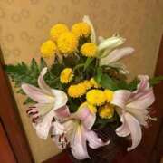 ヒメ日記 2025/10/07 00:30 投稿 まゆ 夕月