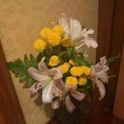 ヒメ日記 2025/10/09 23:29 投稿 まゆ 夕月