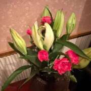 ヒメ日記 2025/10/14 13:49 投稿 まゆ 夕月