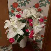 ヒメ日記 2025/10/18 19:29 投稿 まゆ 夕月