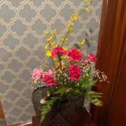 ヒメ日記 2025/10/29 23:59 投稿 まゆ 夕月