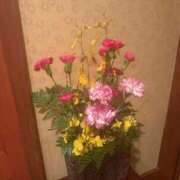 ヒメ日記 2025/11/01 23:59 投稿 まゆ 夕月