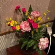 ヒメ日記 2025/11/02 23:24 投稿 まゆ 夕月