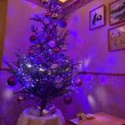 まゆ ♨️夕月ツリーとまゆサンタ🎄🎅💖 夕月