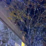 ヒメ日記 2024/12/11 21:05 投稿 白羽れん 響-HIBIKI-