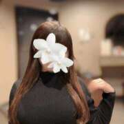 ヒメ日記 2025/02/15 17:52 投稿 白羽れん 響-HIBIKI-