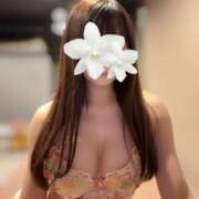 ヒメ日記 2025/04/18 23:46 投稿 白羽れん 響-HIBIKI-