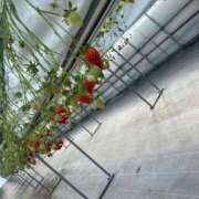 ヒメ日記 2025/02/24 20:40 投稿 あや CLASSY.名古屋・新栄店