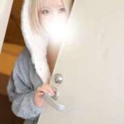 ヒメ日記 2025/05/12 12:13 投稿 まよい The White