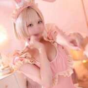 ヒメ日記 2025/05/31 13:32 投稿 まよい The White