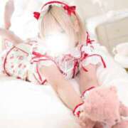 ヒメ日記 2025/08/19 09:26 投稿 まよい The White