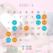 ヒメ日記 2025/08/20 18:28 投稿 まよい The White