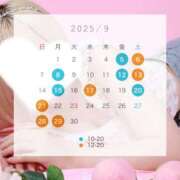 ヒメ日記 2025/09/02 19:37 投稿 まよい The White