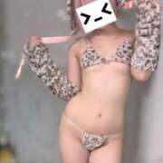 ヒメ日記 2025/09/12 09:45 投稿 まよい The White