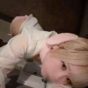 ヒメ日記 2025/09/25 17:47 投稿 まよい The White