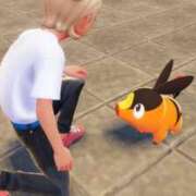 ヒメ日記 2025/10/16 08:22 投稿 まよい The White