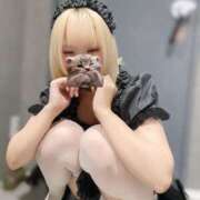 ヒメ日記 2025/10/28 07:45 投稿 まよい The White