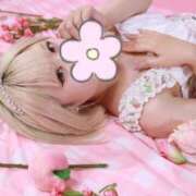 ヒメ日記 2025/11/06 17:13 投稿 まよい The White