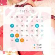 ヒメ日記 2025/12/01 19:48 投稿 まよい The White