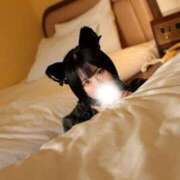 ヒメ日記 2025/12/18 23:15 投稿 まよい The White