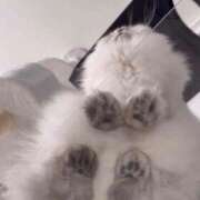 ヒメ日記 2025/10/10 23:13 投稿 みお☆プリンセス JKサークル