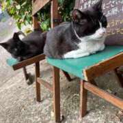 ヒメ日記 2025/10/17 02:44 投稿 みお☆プリンセス JKサークル