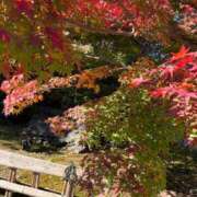 ヒメ日記 2025/11/26 15:10 投稿 みお☆プリンセス JKサークル