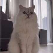 ヒメ日記 2025/12/14 03:12 投稿 みお☆プリンセス JKサークル