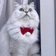 ヒメ日記 2025/12/21 13:54 投稿 みお☆プリンセス JKサークル