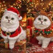 ヒメ日記 2025/12/24 10:45 投稿 みお☆プリンセス JKサークル