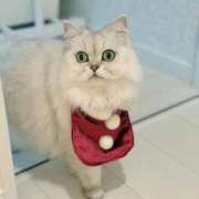 ヒメ日記 2025/12/25 13:30 投稿 みお☆プリンセス JKサークル