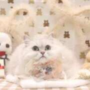 ヒメ日記 2025/12/30 16:28 投稿 みお☆プリンセス JKサークル