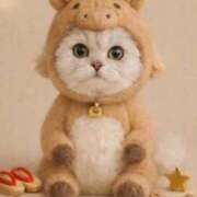 ヒメ日記 2026/01/01 05:48 投稿 みお☆プリンセス JKサークル