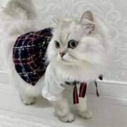 ヒメ日記 2026/01/12 07:37 投稿 みお☆プリンセス JKサークル