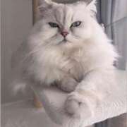 ヒメ日記 2026/01/12 11:15 投稿 みお☆プリンセス JKサークル