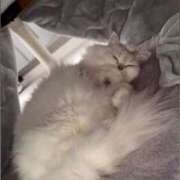 ヒメ日記 2026/01/15 03:53 投稿 みお☆プリンセス JKサークル