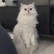 ヒメ日記 2026/01/15 15:12 投稿 みお☆プリンセス JKサークル