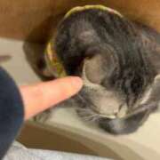 ヒメ日記 2026/01/19 13:43 投稿 みお☆プリンセス JKサークル