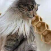 ヒメ日記 2026/01/24 21:20 投稿 みお☆プリンセス JKサークル