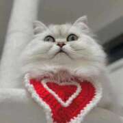 ヒメ日記 2026/02/10 18:33 投稿 みお☆プリンセス JKサークル