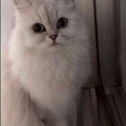 ヒメ日記 2026/02/11 08:29 投稿 みお☆プリンセス JKサークル