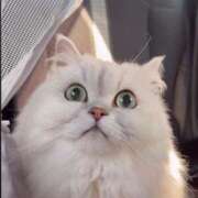 ヒメ日記 2026/02/17 17:35 投稿 みお☆プリンセス JKサークル