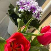 ヒメ日記 2026/02/18 13:46 投稿 みお☆プリンセス JKサークル